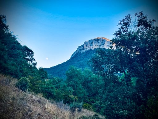 Montaña al fondo con vegetación frondosa y cielo despejado en el horizonte.